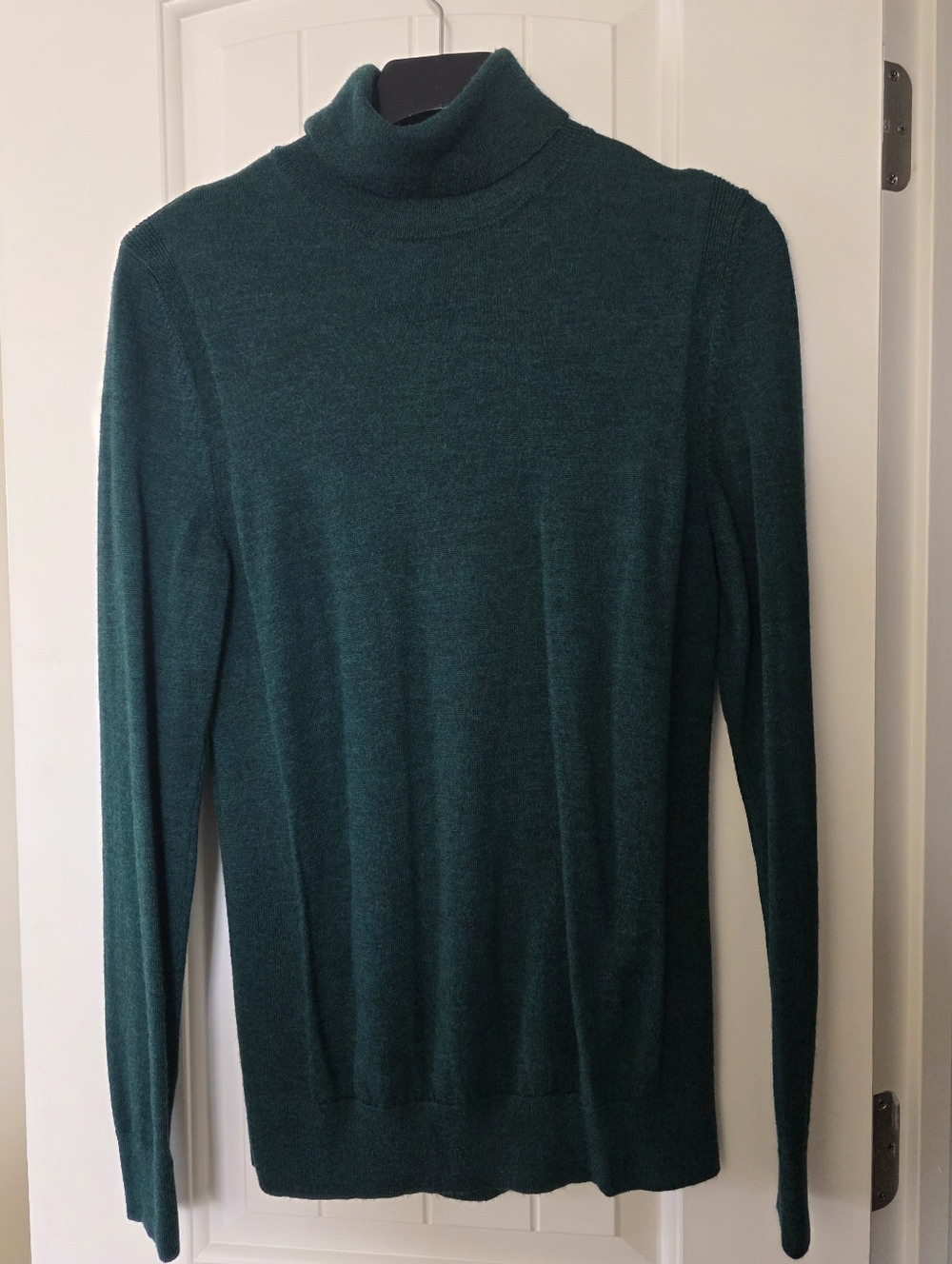 Express Turtleneck Everyday Performance Merino Wool Sweater